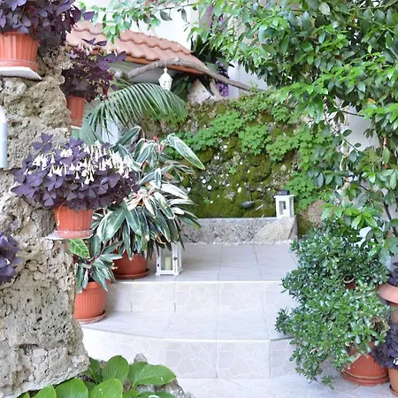 Family Sofi Otel Süzebolu